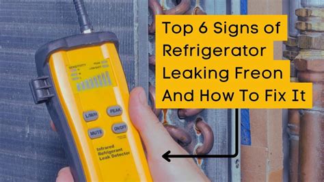 freon leak freezer|Freon Leaks in Freezers